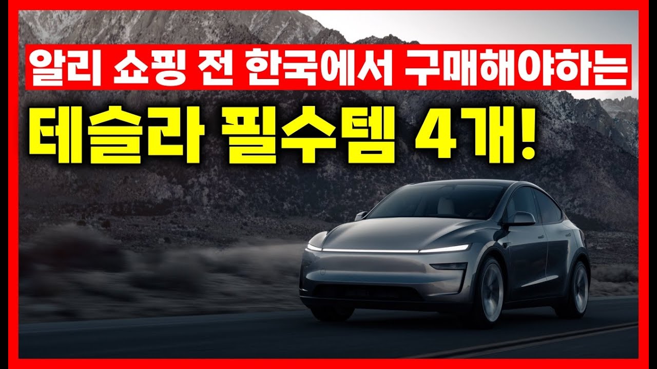 테슬라 알리 쇼핑전 한국에서 구매해야하는 필수템 4가지!(하이패스, 휴대폰 거치대, USB, DC콤보 커버)