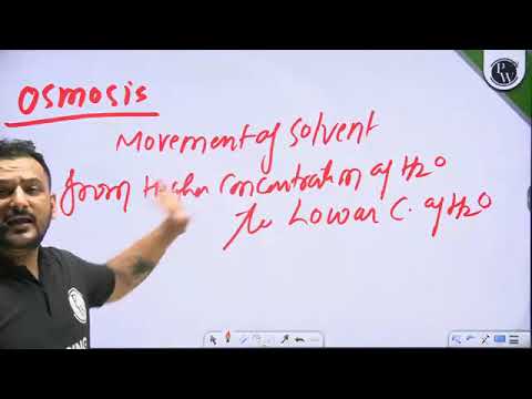112  339 Renal System 09 Renal Transplant