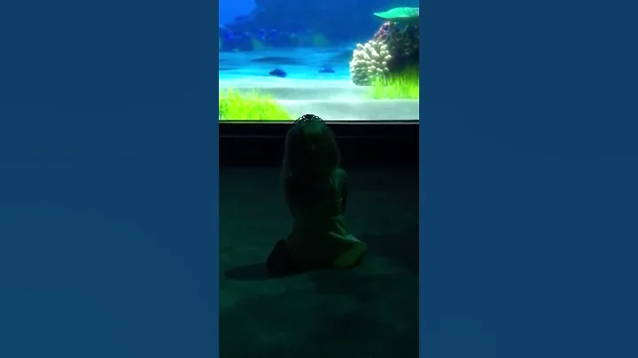 This video is from today it's Crush talking to my ...