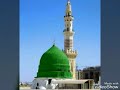 شربنا على ذكر الحبيب مدامة شربنا على ذكر الحبيب مدامة