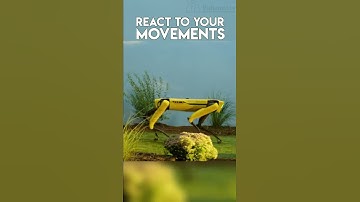 Dog Robot – Would You Like To Get One? #Short