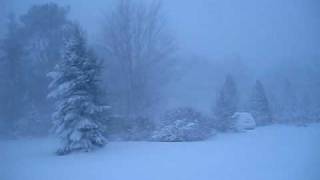 MVI_7905.AVI