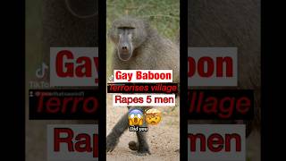 Gay baboon rapes men! 😱#funny#facts #crime #fyp #jackneeel #horror #crime #history #gabesweats