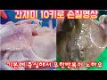 [가오리 손질법] 수산물 손질달인이 알려 드리는 가오리(간재미(홍어) 10kg 손질영상). 무한반복하면 어느순간 나도 전문가^^ How to fillet Red stingrays.