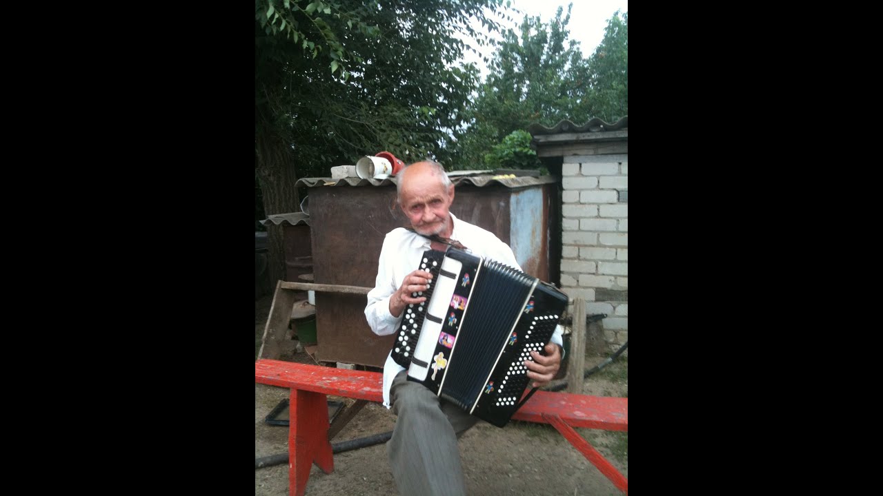 Богдан ромашкин ковров