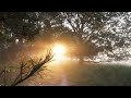 Song Of Solomon Instrumental 