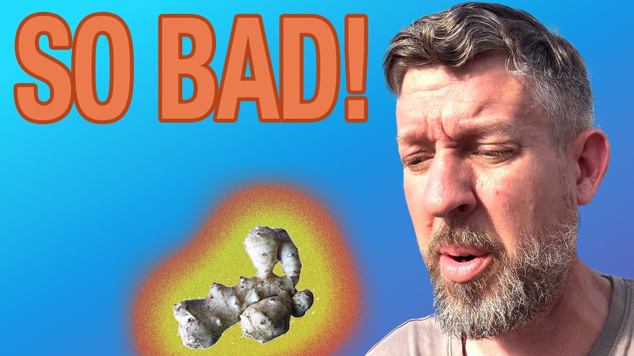 Нет, это НЕ идеальный урожай для выживания!