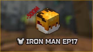 THIS TOOK WHOLE YEAR | #17 (Hypixel Skyblock Iron Man)