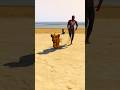 Baby Lion Simba And Spiderman Save Baby From Venom #shorts