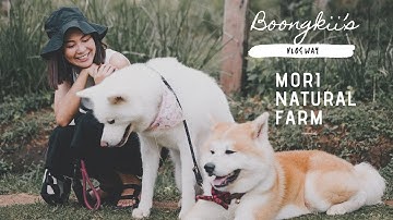Farm and Cafe tour: Mori Natural Cafe Chiangmai เที่ยวโมริเนเชอรัลฟาร์ม เชียงใหม่