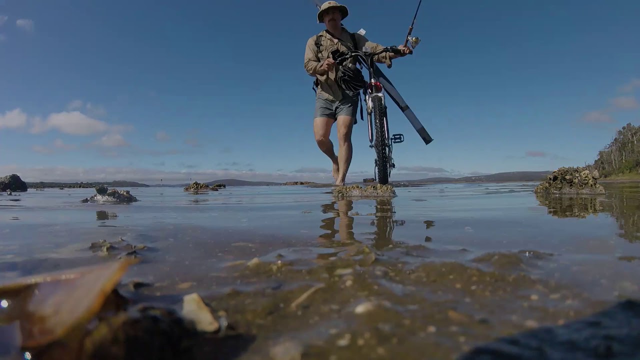 Black Bream Catch & Release King River, Albany, Western Australia