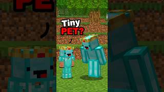 You Can Make TINY Pets in Minecraft! ⛏️💎