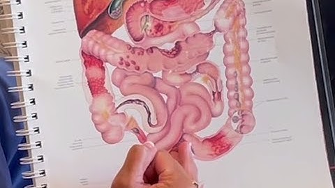 Answering Your Questions About Colonoscopies