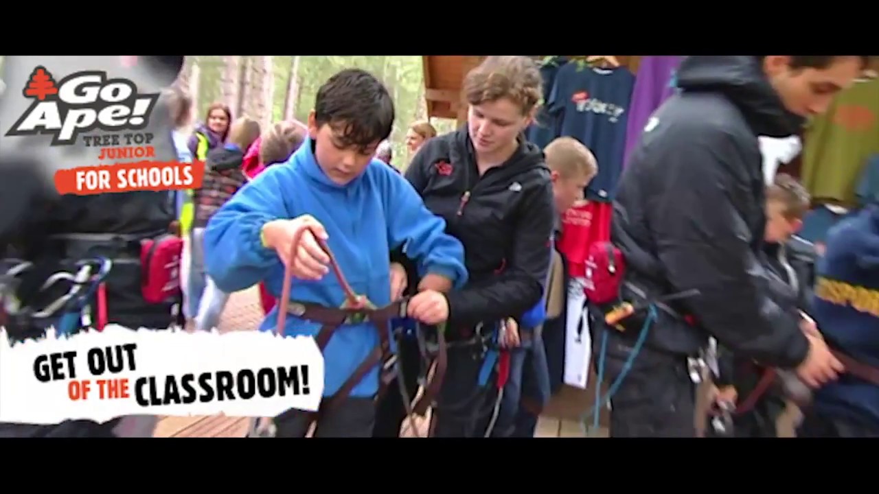 learning strategies School Trips at Go Ape