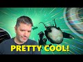 No Man's Sky | I´m Hatching a LIVING SHIP ( took 72hs ) ❗😅👍