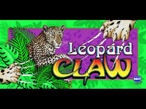 Leopard spots casino slot machine