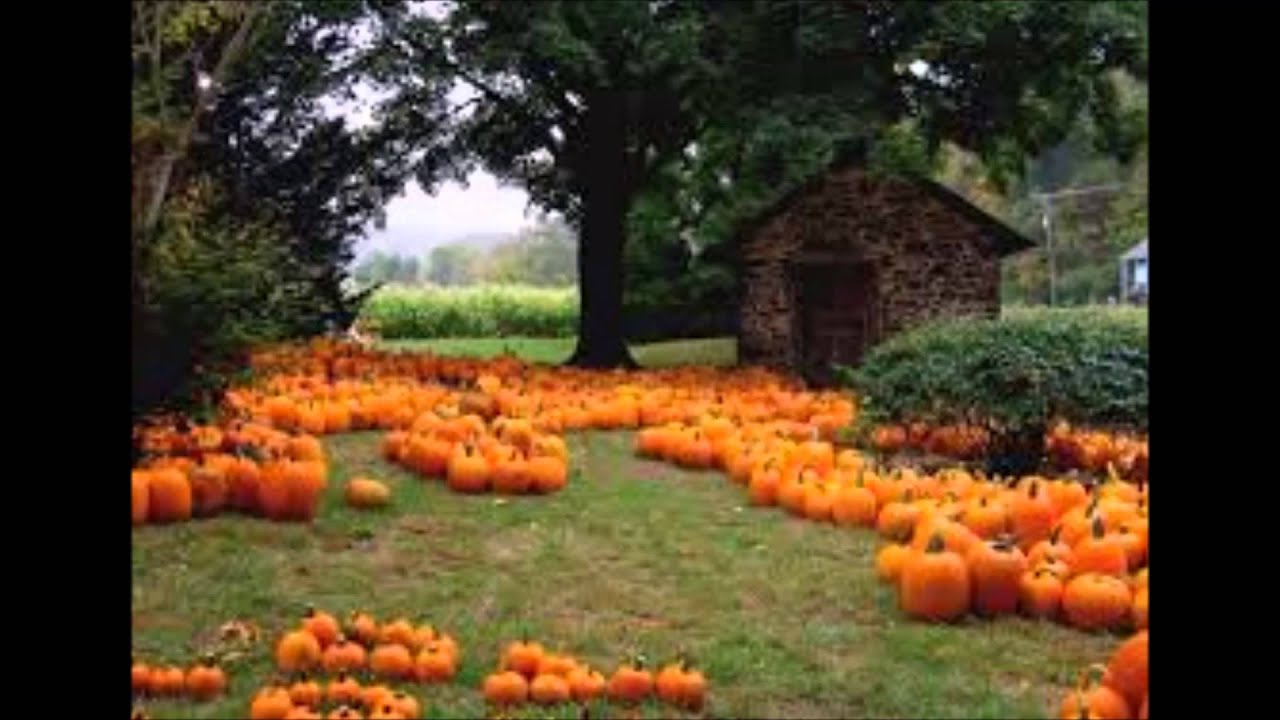 Orange Pumpkin Fall Song 