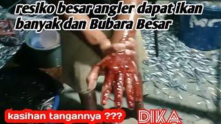 ikan Bubara masuk di jaring Dengan full ikan teri #Bundreadiprofmancingtimur#