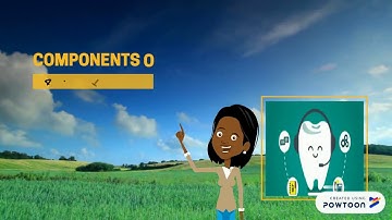 Components of Information System