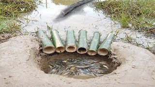 6 Bamboo Deep Hole Fish Trap -Two Brothers Make Deep Hole Fish Trap With Bamboo To Catch Fish