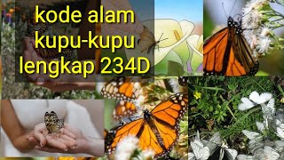 kode alam kupu-kupu lengkap