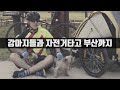 강아지들과 자전거를 타고 서울에서 부산까지 가봤습니다