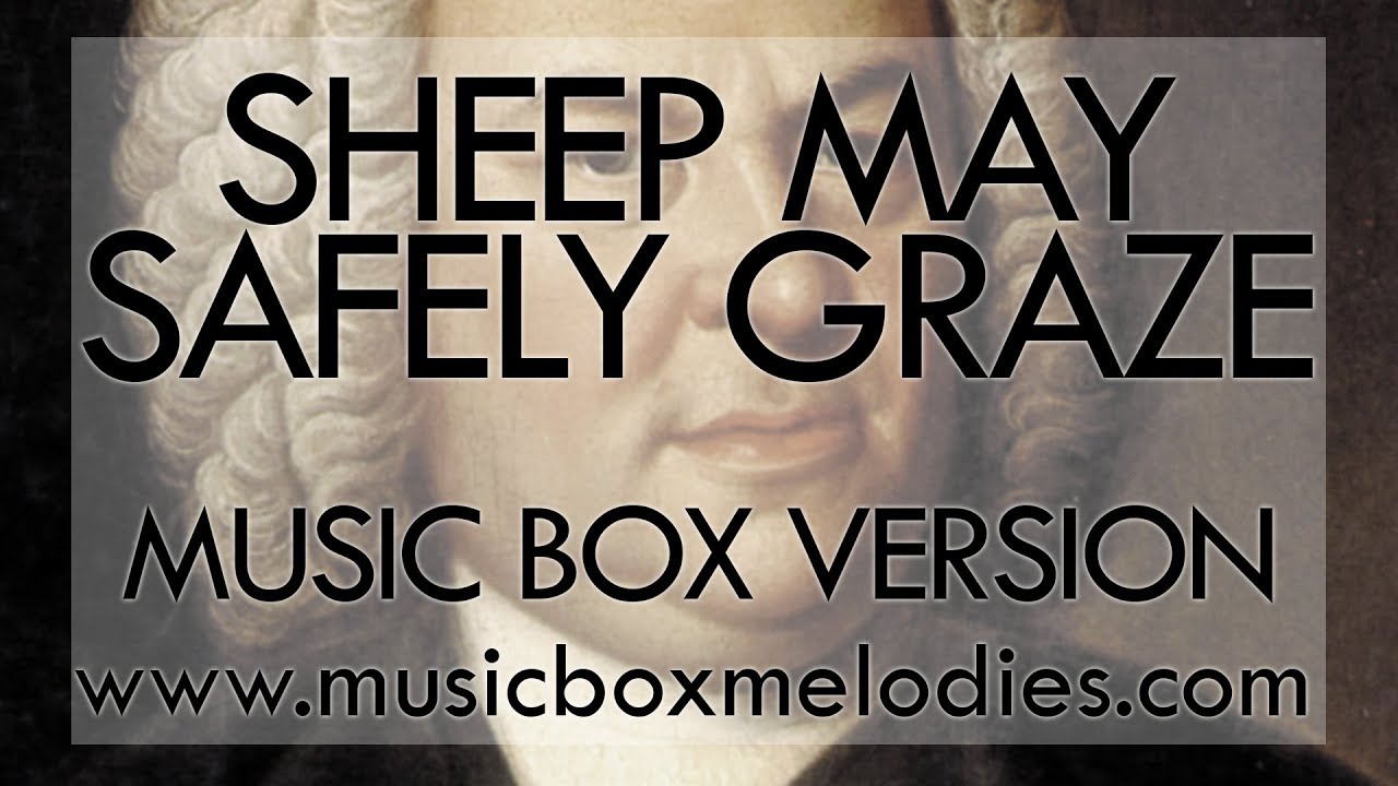 Sheep may safely graze by Bach - Music Box Version - YouTube