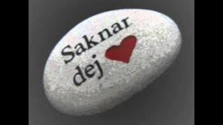 Dittin - Jag Saknar Dig