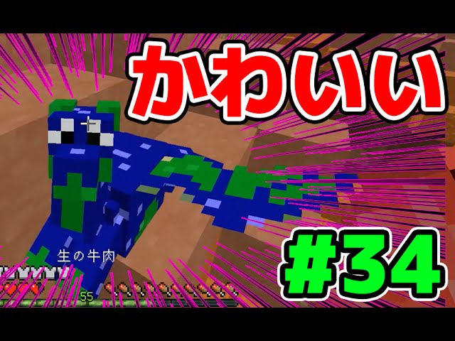 【変身MOD×オアスポーン】すべてをすいこむ#34【マインクラフト実況】【haru】