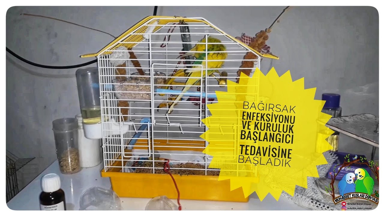 Bağırsak Enfeksiyonu ve Kuruluk Başlangıcı Tedavisine Başladık