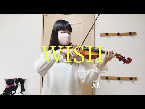 「花より男子」より『WISH』-嵐　ヴァイオリン　弾いてみた