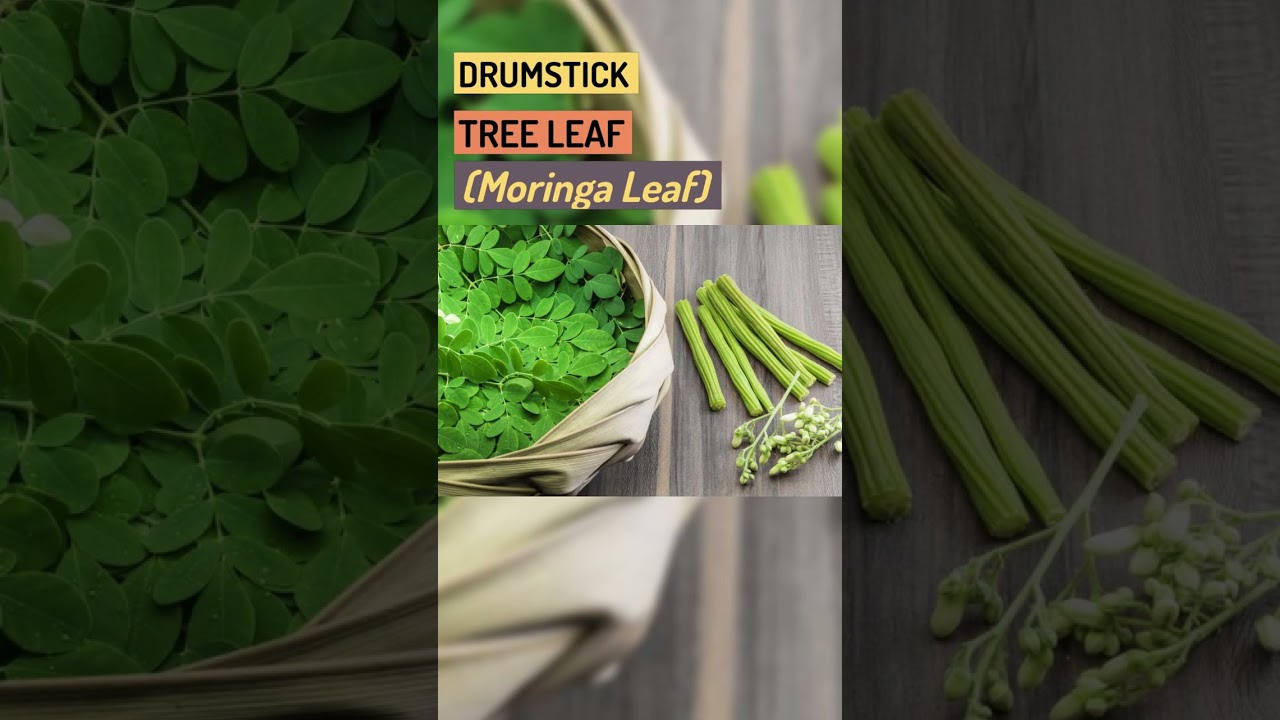 Unbelievable Weight-Loss Secret Revealed: What’s In Alpilean’s NEW Supplement? #shorts #weightloss