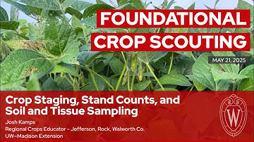 Crop Staging, Stand Counts, and Soil and Tissue Sampling
