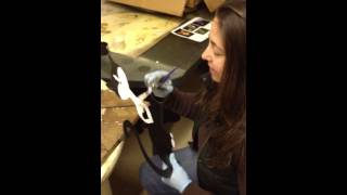 IMG_0092.MOV