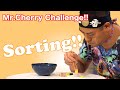 【Mr.Cherry Challenge!!】Use chopsticks to color-code bear gummy