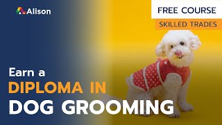Diploma in Dog Grooming  Free Online Course with Certificate