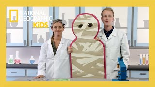 weird but true full episodes compilation atnatgeokids