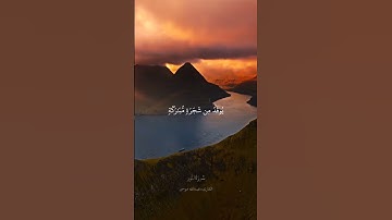 الشيخ_عبدالله_موسى_سورة_النور_۞ٱللَّهُ نُورُ ٱلسَّمَٰوَٰتِ وَٱلۡأَرۡضِۚ