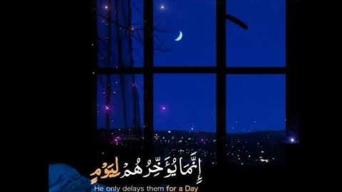 ستوريات انستا دينية//حالات واتس اب دينية//القارئ: رعد الكردي//بدون حقوق