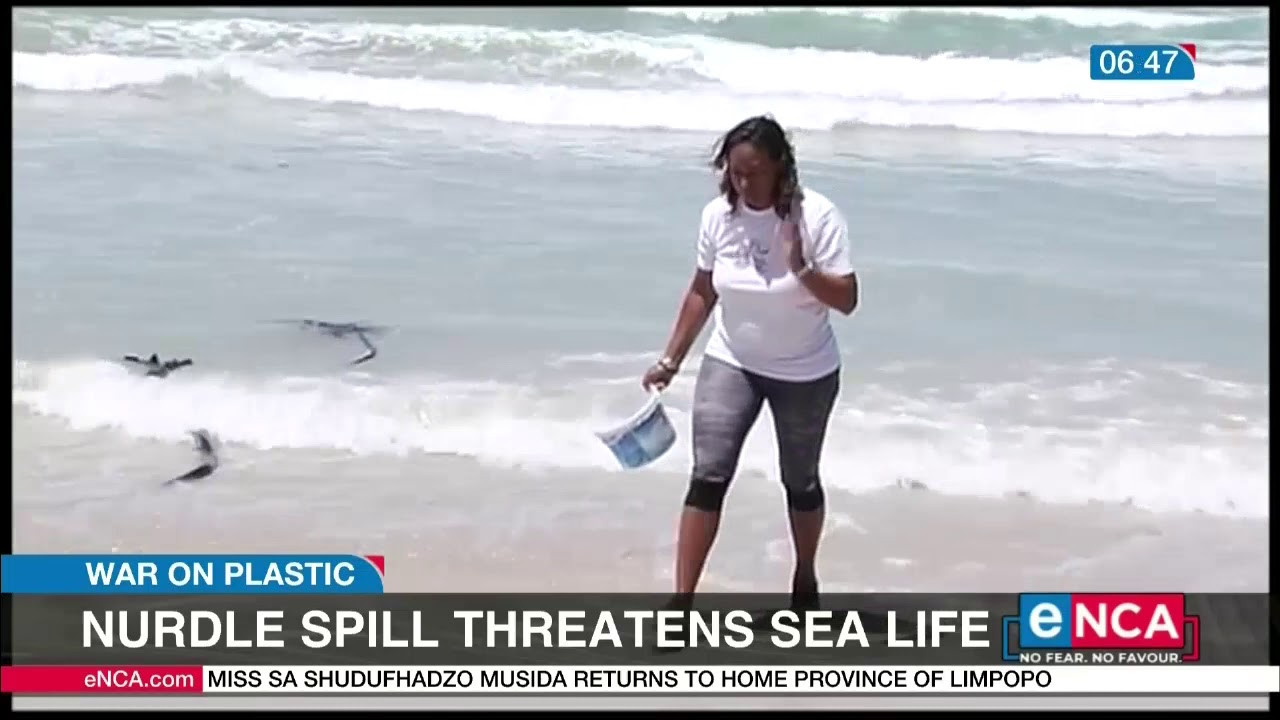 Nurdle spill threatens sea life