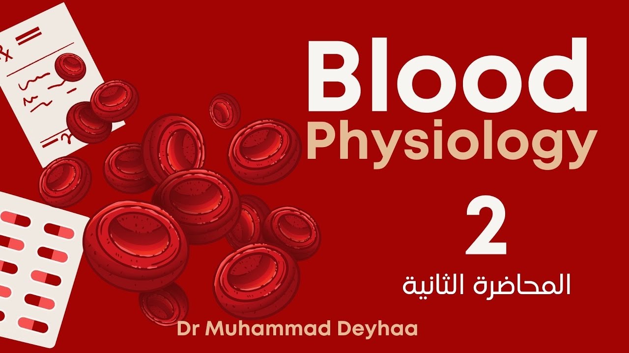 Blood physiology | RBCs & hemoglobin | lecture 2 | د محمد ضياء شرح بالعربي