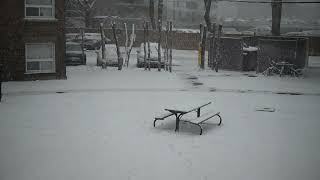 Snowfall Timelapse 2023/1/25
