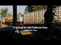 Train passing   cinematic vlog grapy shot on oppo