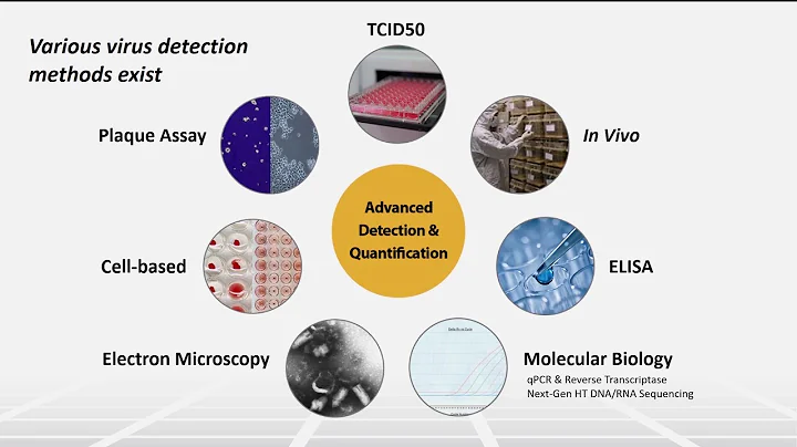 Introduction to Viral Safety Part 2 - Two Minute Tuesday Technical Training