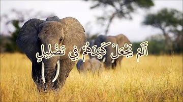 Abdul Rahman Al Sudais - Surat Al-Fīl | عبد الرحمن السديس - سورة الفيل