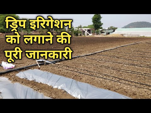 वीडियो: कृषि को कैसे व्यवस्थित करें