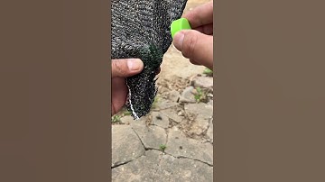 Bottle Cap Rescues Tarp Corner!