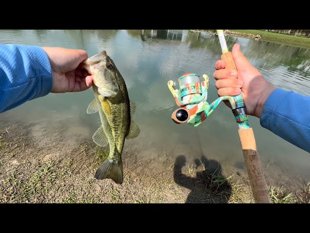 The New Krazy Reel from ProFISHiency 