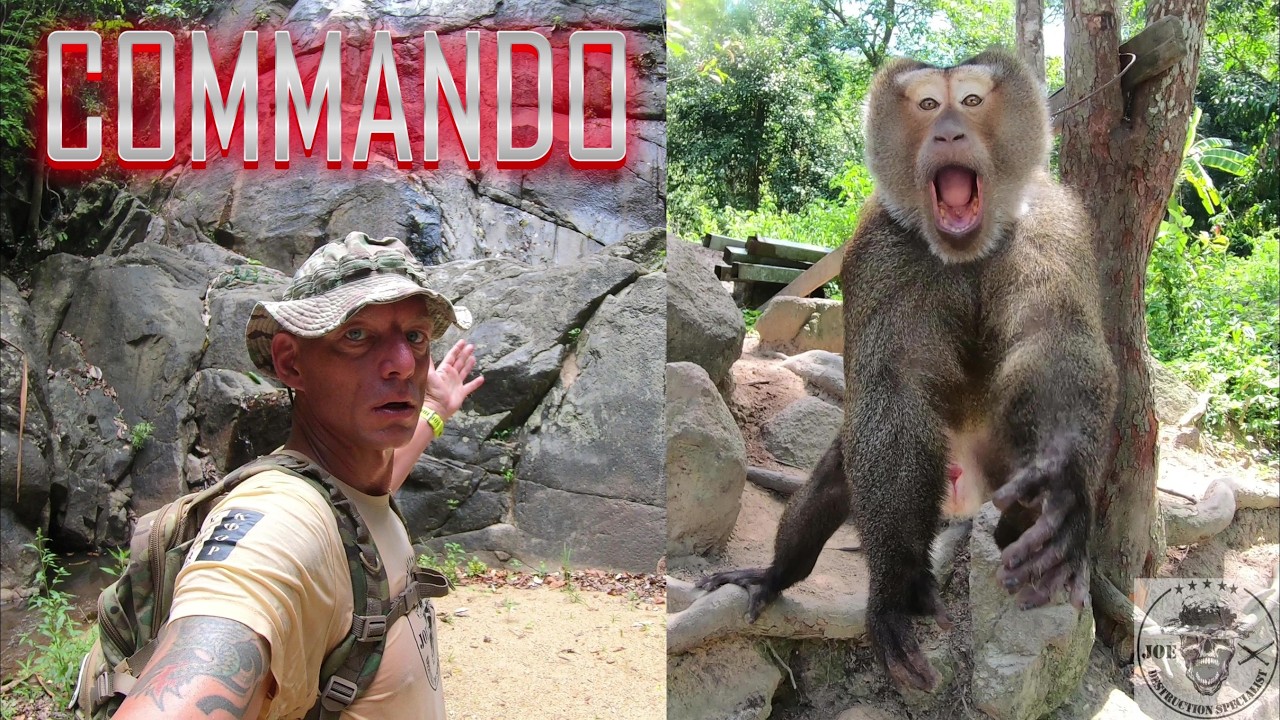 MONKEY ATTACK AND SNAKE IN THE JUNGLE OF THAILAND - ZONG RUEA WATERFALL ...