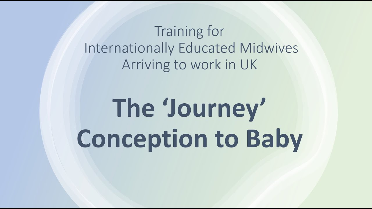 An Overview Of NHS Antenatal Care The Journey From Conception To an-overview-of-nhs-antenatal-care-the-journey-from-conception-to